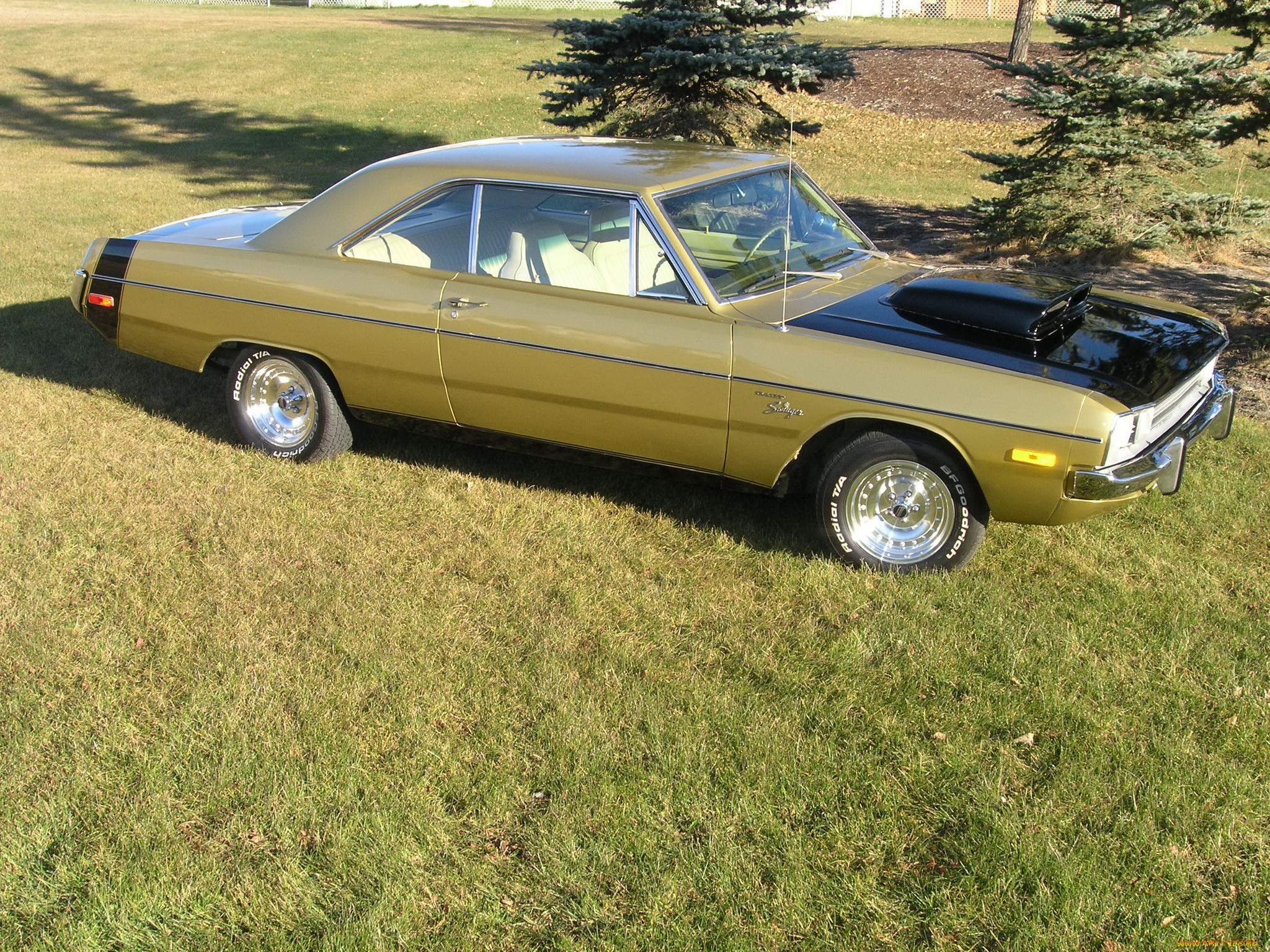 , dodge